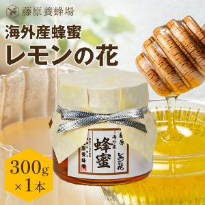 にゃんこそば　栗・藤のはちみつ【各1200g】2025/6採蜜　国産　蜂蜜 外国産はちみつ かぼちゃのハチミツ 海外産蜂蜜 300g ガラス瓶入り
