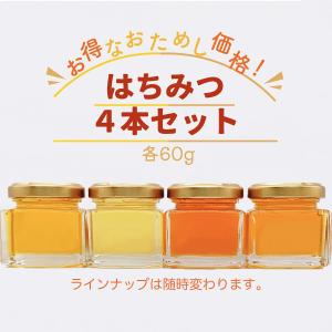 国産 レア蜂蜜 300g 6種類から選べる 創業百二十余年 老舗藤原養蜂場