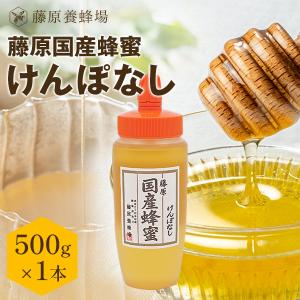 純国産　黄金蜂蜜 1kg ２本セット 国産はちみつ 栃（とち）のハチミツ 藤原黄金蜂蜜 500g ポリ容器入り