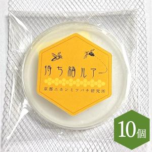 ☆待ち箱ルアー（人工のキンリョウヘン）3個セット 正規品 誘引剤