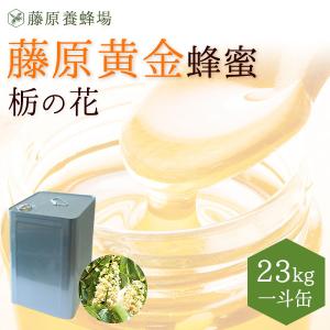 国産はちみつ 栃(とち)のハチミツ 藤原黄金蜂蜜...の商品画像