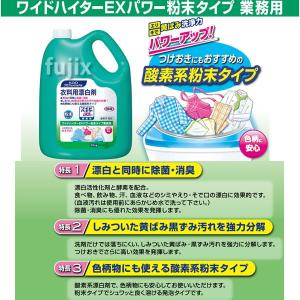 花王 ワイドハイター EXパワー 粉末タイプ ...の詳細画像1