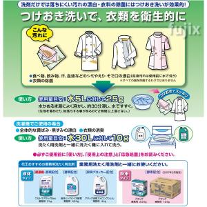 花王 ワイドハイター EXパワー 粉末タイプ ...の詳細画像2