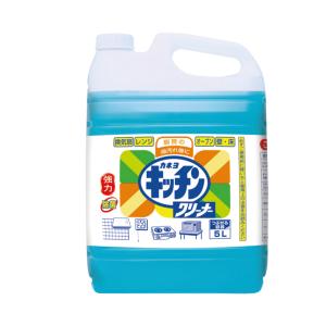 カネヨキッチンクリーナー 5L×2個／ケース　業務用　カネヨ石鹸｜fujix-sizai