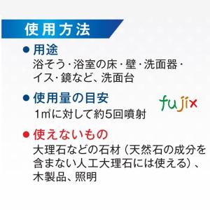 ライオン バスタブクレンジング 銀イオンプラス...の詳細画像3