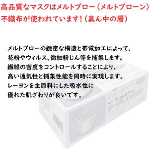 フジ ソフトサージカルマスク ホワイト 50枚...の詳細画像2