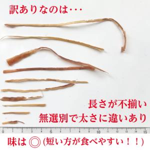 するめソーメン(得用) 250g 【送料無料】...の詳細画像1