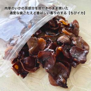 ちびイカ 200g 【送料無料】いか耳(皮付き...の詳細画像1
