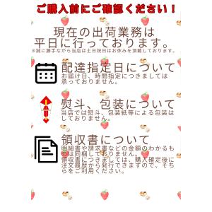 数量限定 のしいか(切れ) 200g 【送料無...の詳細画像3