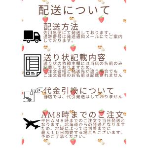 数量限定 のしいか(切れ) 200g 【送料無...の詳細画像4