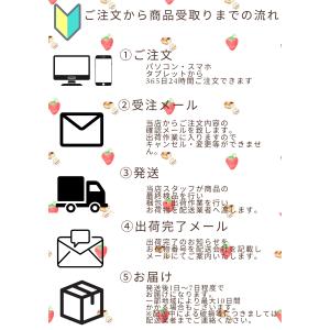 数量限定 のしいか(切れ) 200g 【送料無...の詳細画像5