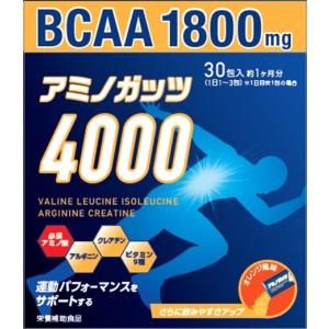 リブ・ラボラトリーズ 「リブ・ラボラトリーズ」 アミノガッツ