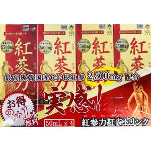 ビイレバーキングNEXT 500ml(15本セット) : ザグザグ通販プレミアム
