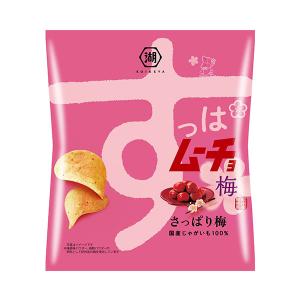 PRETZ 江崎グリコ 47g プリッツ 旨塩レモン (10×12)120入 (期間限定