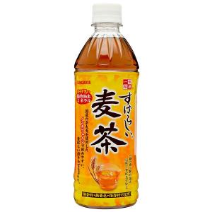 サンガリア　すばらしい麦茶 500ml 24本入り×1ケース（KT）