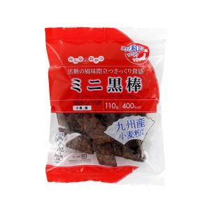 モントワール みんなのおやつ ミニ黒棒 110g×16個入り