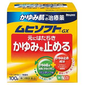 ★【第3類医薬品】ムヒソフトGX　100g｜fujiyaku