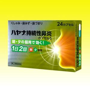 ハヤナ持続性鼻炎カプセルS
