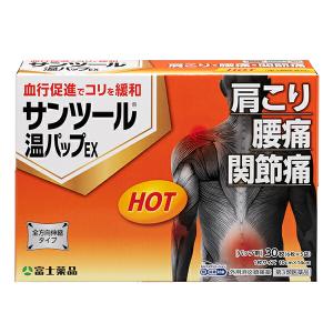 サンツール温パップＥｘの商品画像