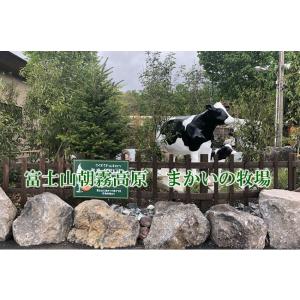 まかいの牧場 きりかぶメープルパン 天然酵母 ...の詳細画像3