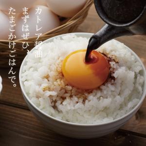 カトレア醤油 1.8L1本【フジヨシ公式ショッ...の詳細画像2