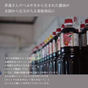 カトレア醤油 1.8L1本【フジヨシ公式ショッ...の詳細画像4