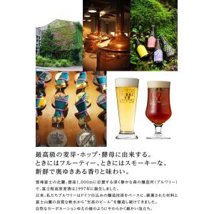 クラフトビール ギフト 飲み比べ ビールセット...の詳細画像5