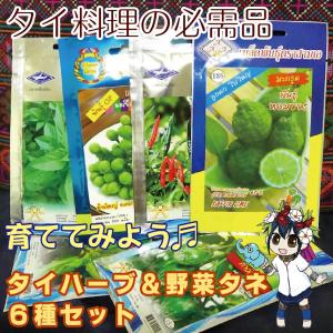 栽培簡単！タイハーブ＆野菜タネ６種セット 自宅で本格タイカレーを作ってみませんか!?