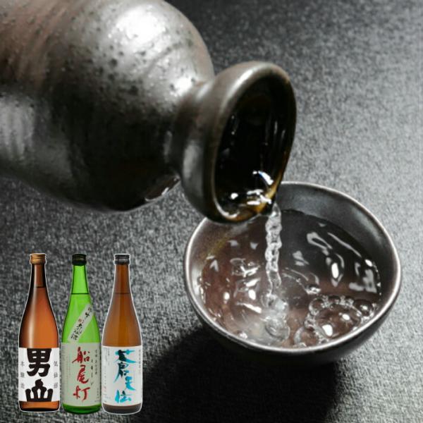 日本酒セット 石渡商店 父の日ギフト 日本酒 気仙沼地酒セット 気仙沼 地酒 日本酒 飲み比べ 日本...