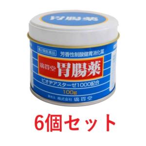 廣貫堂胃腸薬（100g）6個セット こうかんどういちょうやく　胃薬 胸やけ 胃もたれ 胃痛 置き薬 ...