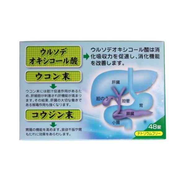 ロダン胃腸薬S錠(48錠） 胃薬 置き薬 飲みすぎ 食べ過ぎ 胸やけ 配置薬 富山 内外薬品 第3類...