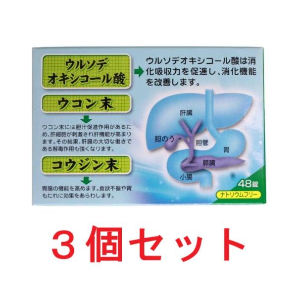 ロダン胃腸薬S錠(48錠）3個セット 送料無料 胃薬 置き薬 飲みすぎ 食べ過ぎ 胸やけ 配置薬 富...