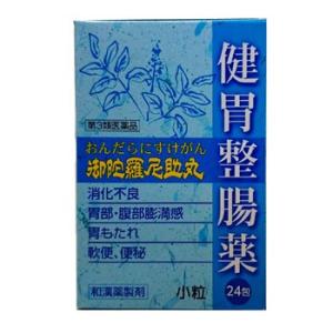 御陀羅尼助丸（20丸×24包） オンダラニスケガン おんだらにすけがん 食べ過ぎ 飲み過ぎ 胸やけ ...