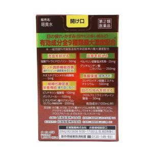 【第2類医薬品】眼黄水(13ml) ガンオウス...の詳細画像2