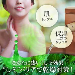 薬用入浴剤 くすり屋さんの入浴剤 湯の友アルフ...の詳細画像2
