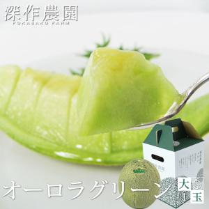 メロン 果物 茨城県産 オーロラグリーン 大 1玉（約1.4kg）