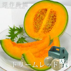 メロン 果物 茨城県産 ドリームレッド 大 2玉（約1.5kg×2玉）