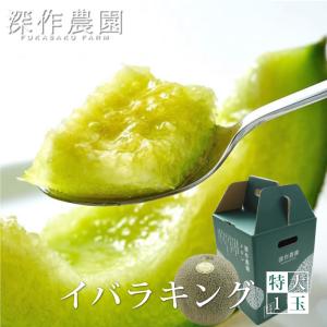 メロン 果物 茨城県産 イバラキング 特大 1玉（約2kg）