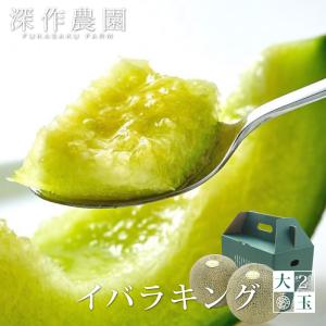 メロン 果物 茨城県産 イバラキング 大 2玉（約1.5kg×2玉）