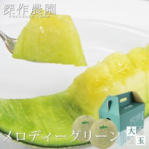メロン 茨城県 鉾田産 メロディーグリーン 大 2玉（約1.5kg×2玉）アンデスメロン系 ギフト