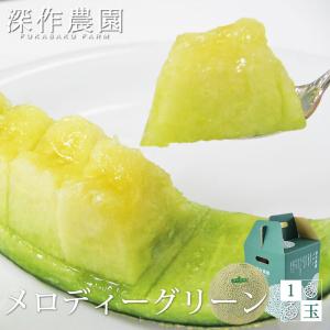 メロン 茨城 極上品 メロディグリーン (3L) 1個入 ...
