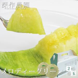 メロン 茨城 極上品 メロディグリーン 中サイズ 2個入(...