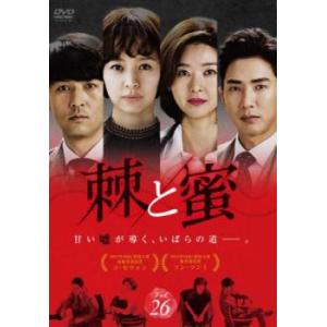 セレブの誕生 10(第19話、最終 第20話) レンタル落ち 中古 DVD 韓国