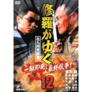 修羅がゆく 12 北九州死闘篇 レンタル落ち 中古 DVD  極道