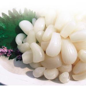 鳥取 砂丘 らっきょう 甘酢漬け 140g×5...の詳細画像2