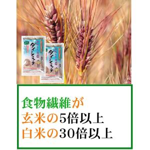 もち麦 国産 ダイシモチ 1000g 機能性表...の詳細画像4