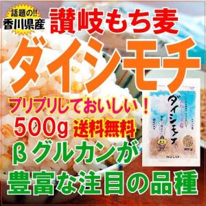 もち麦 国産 ダイシモチ 500g 発酵性食物...の詳細画像1
