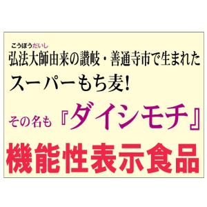 もち麦 国産 ダイシモチ 500g 発酵性食物...の詳細画像4