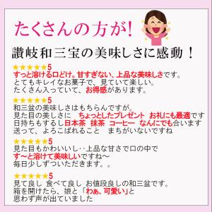 和三宝華つづり 2箱 送料無料 和三盆 干菓子...の詳細画像5