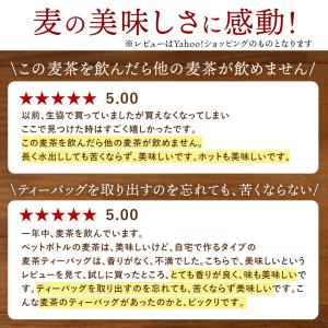 ほんまもんむぎ茶 10g×52パック入袋6個 ...の詳細画像4